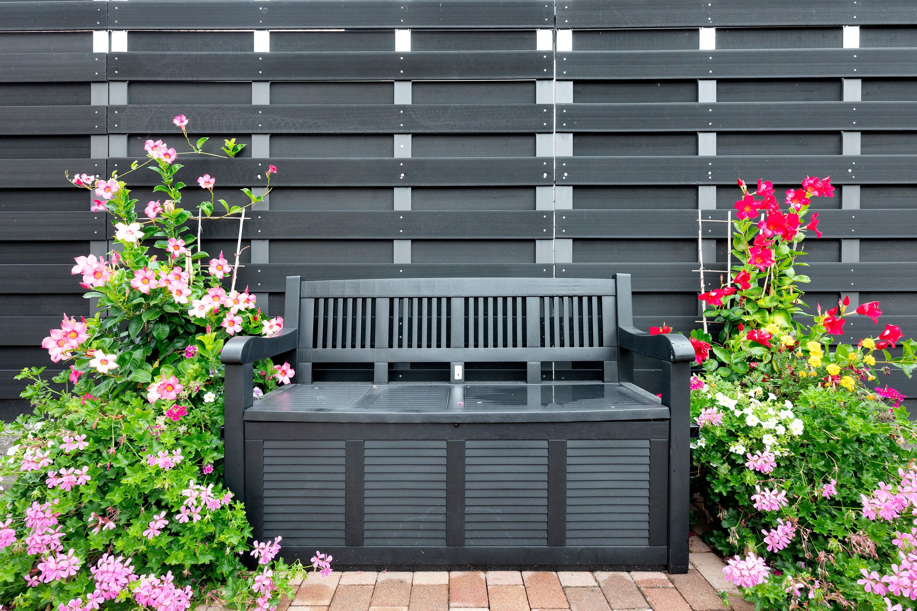 Un banc doté d’une structure métallique et d’un dossier à lattes, placé entre deux parterres de fleurs roses et rouges.