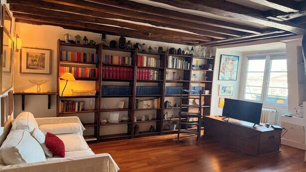 Living area - STUNNING 45M² PARISIAN APARTMENT WITH SUPERB VIEW  NEAR ODEON & SEINE (Paris)