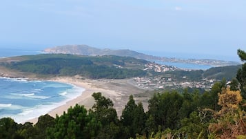 A coastal landscape with a beach, forested hills, and a distant town.