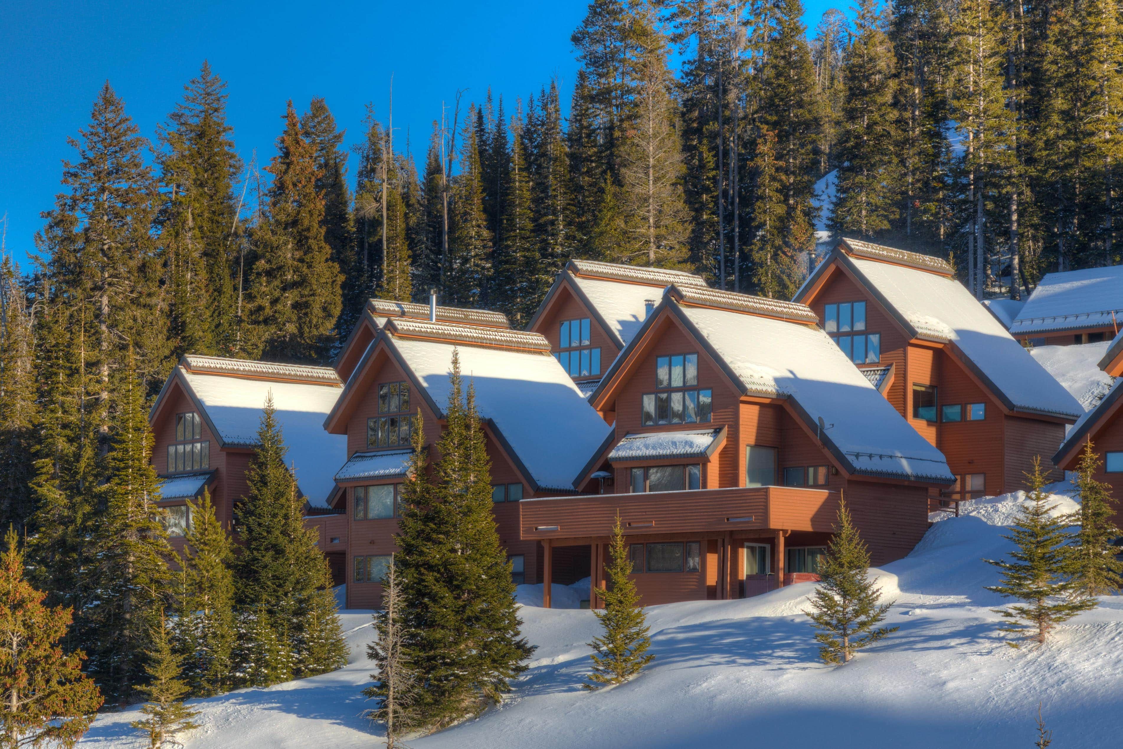 A cluster of log cabin-style buildings surrounded by snow-covered ground and tall pine trees.