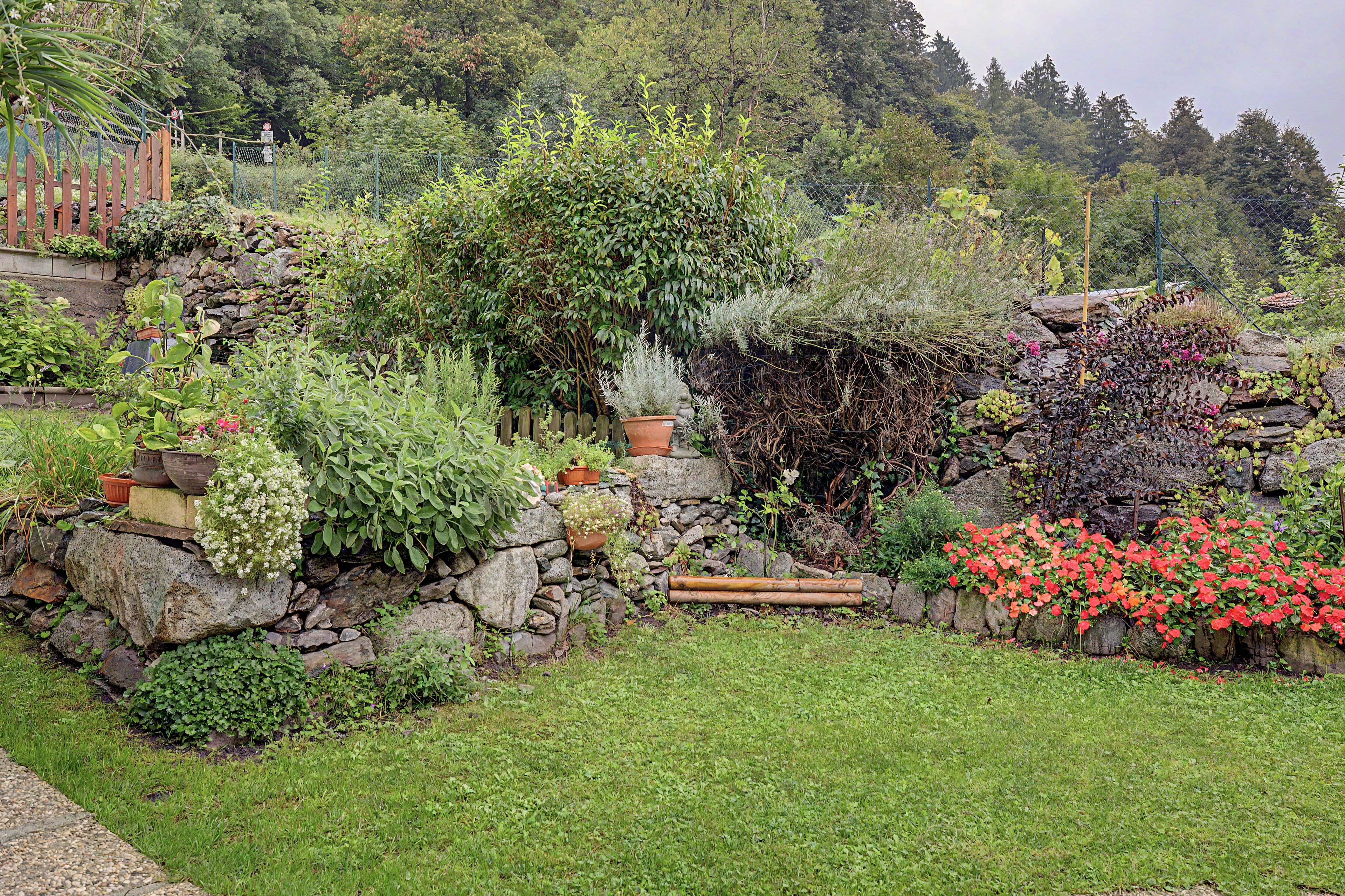 Ein Garten mit vielfältigen Pflanzen, einer Steinmauer und einem Holzzaun.