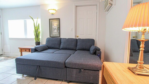 A room with a grey sofa, a wooden side table, a lamp, a potted plant, and a framed picture on the wall. - A budget-friendly, freshly renovated studio at Sunnyside, just steps from the lake. (Greenbush)