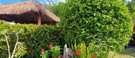 Un jardín con una estructura de techo de paja, diversas plantas en flor y un césped bien cuidado.
