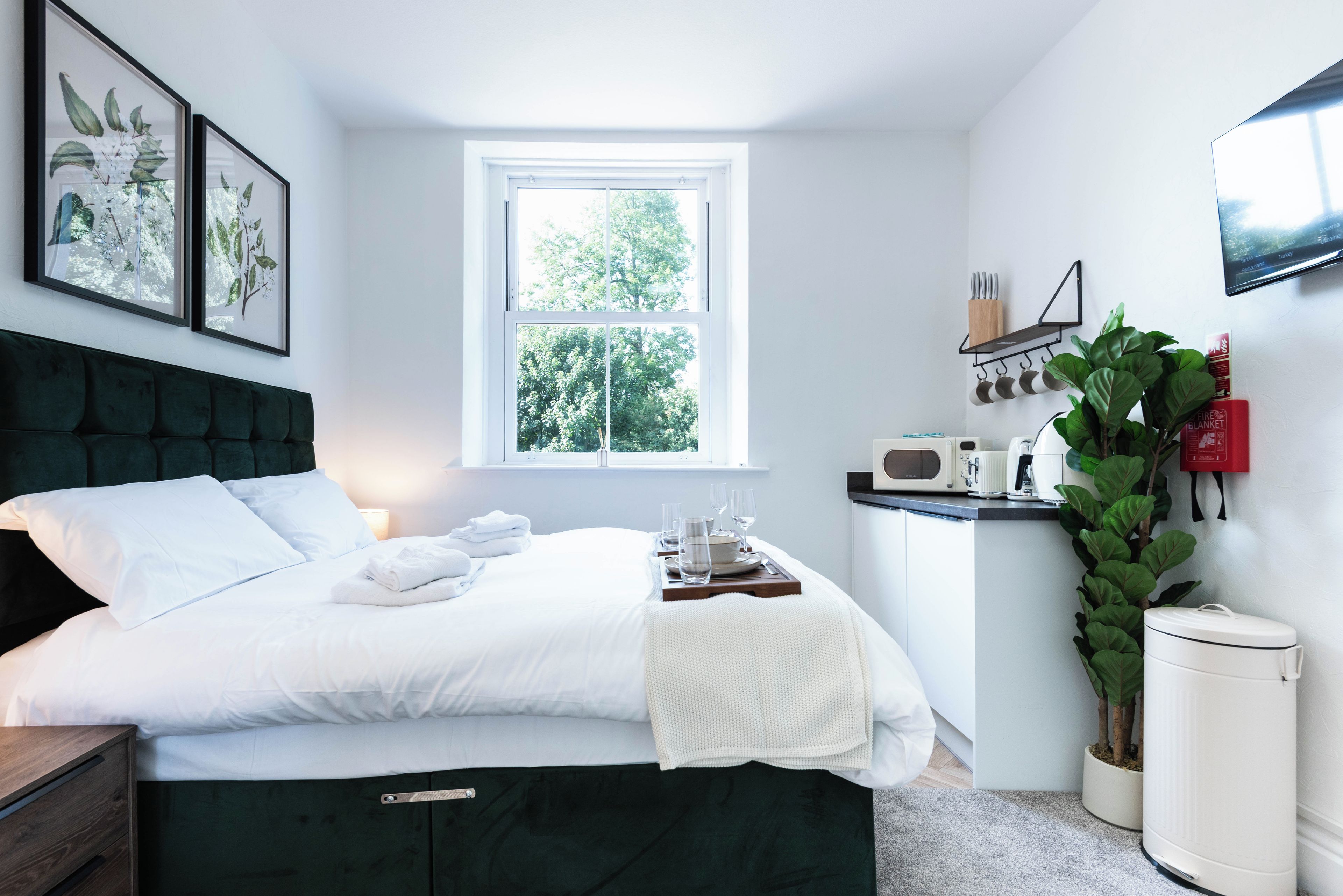 A hotel room with a bed, a window, a bedside table, a plant, a microwave, and a fire blanket.