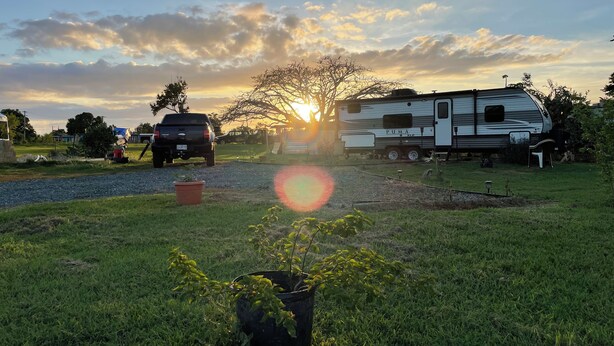 A grassy area with a parked RV and a truck, a gravel path, and a potted plant.