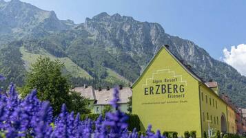 A building with 'ERZBERG' signage, surrounded by mountains and purple flowers.