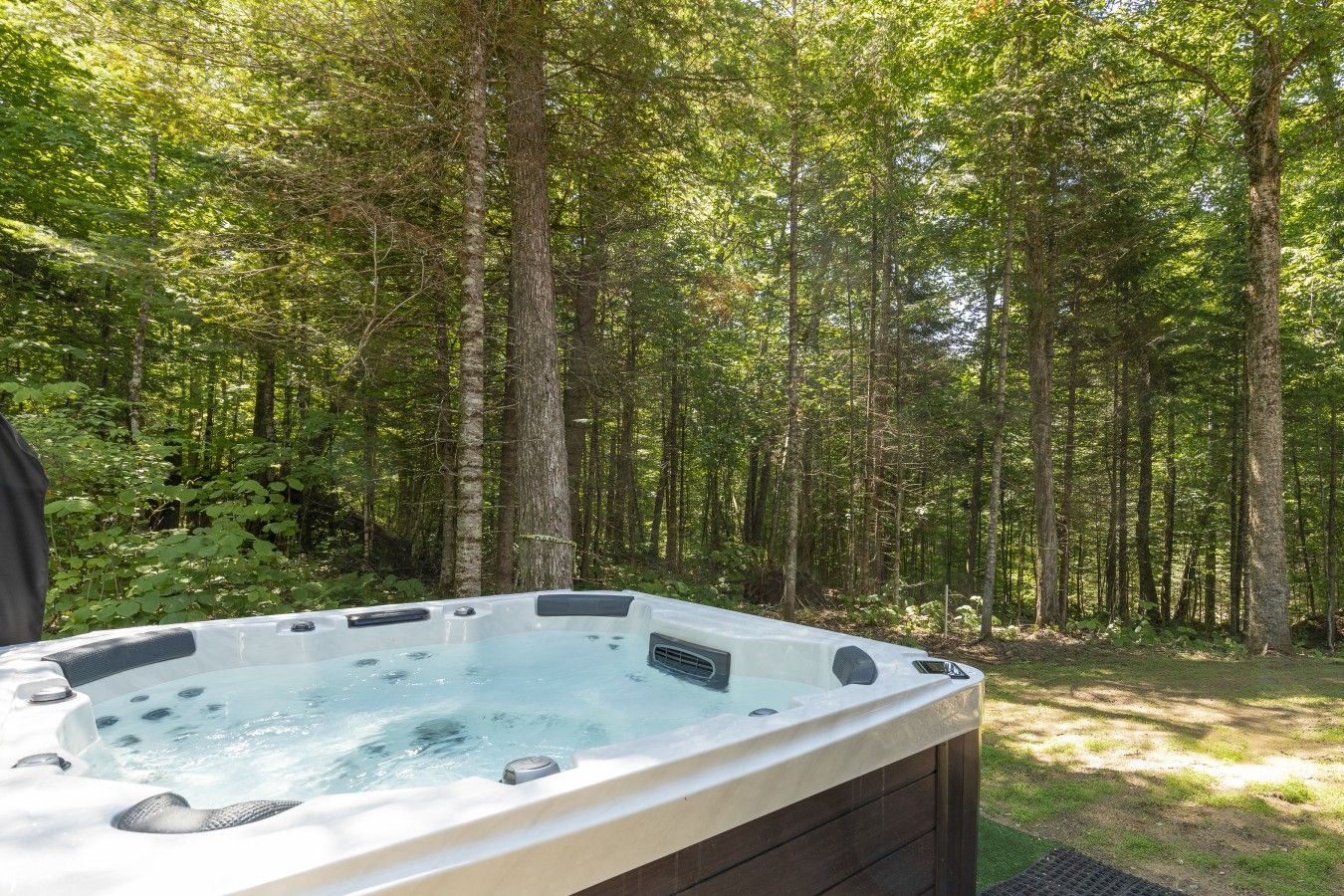A hot tub in a forested area with trees in the background.