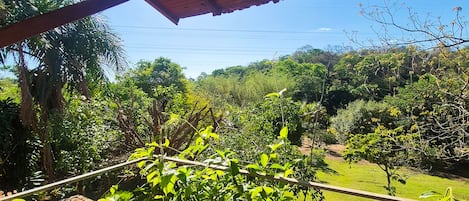 A covered outdoor area with a wooden ceiling and a view of a lush green landscape.