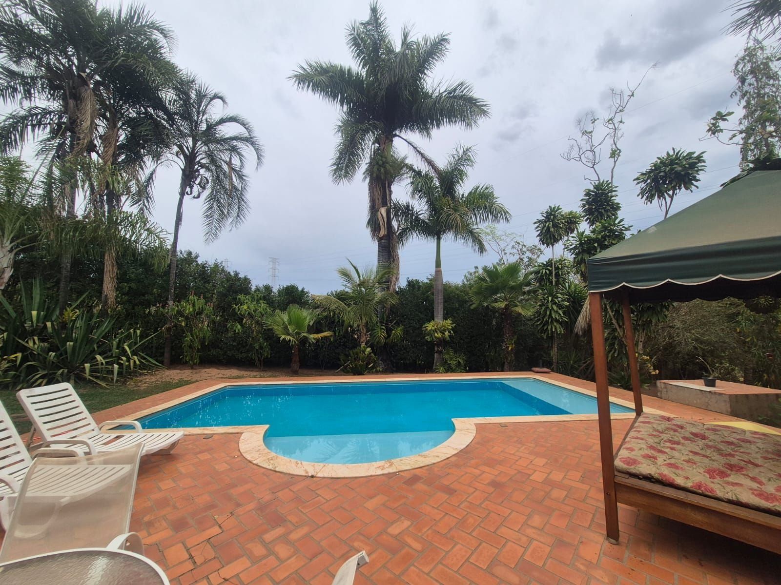 Piscina retangular com um terraço de tijolos, cercada por palmeiras e outra vegetação tropical.