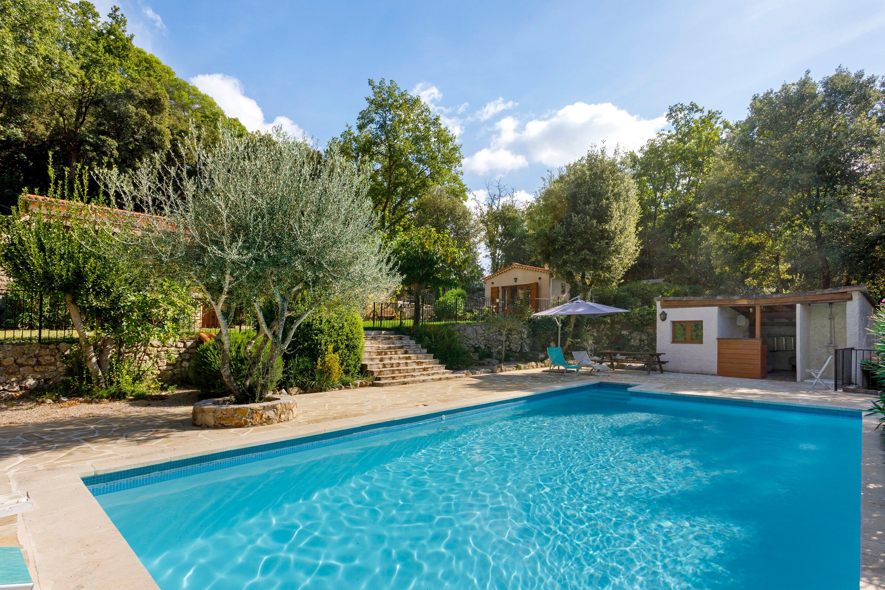 A swimming pool with a stone deck, surrounded by greenery and a small building with a wooden roof.