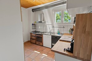 A compact kitchen with a stove, sink, and dishwasher, wooden cabinets, and a window with a view of trees. - Family-friendly chalet with a magnificent view and a terrace (Euseigne)