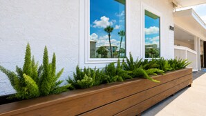 Fachada de prédio com grandes janelas, um vaso de madeira com plantas e uma placa com o número '8010'.