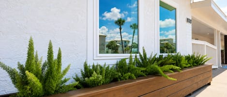 A building facade with large windows, a wooden planter with greenery, and a sign with the number '8010'.