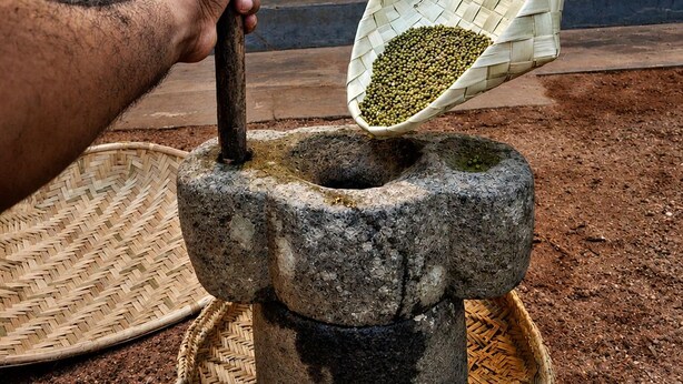 A person using a stone mortar and pestle to grind green seeds. - Piyasewana Spice Garden Villa (Banduragoda)