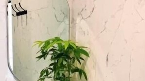Bathroom - thousand island living (south denpasar)