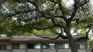 Exterior - Big Austin Getaway - Pool, Hot Tub & Pool House (Austin)