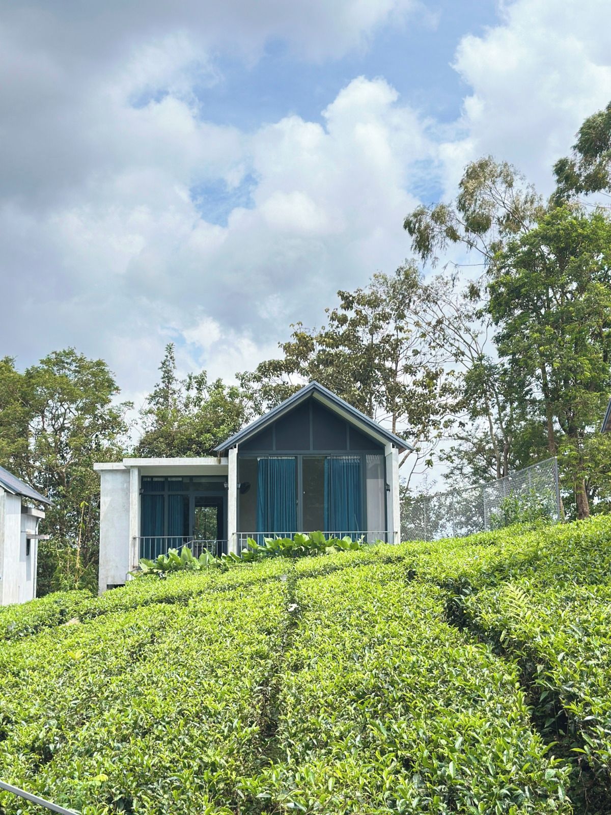 A building with a sloped roof and a balcony, surrounded by a tea plantation.