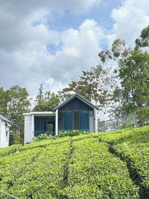 Un edificio con techo inclinado y balcón, rodeado por una plantación de té.