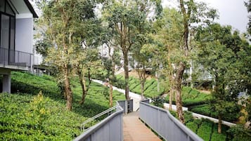 A pathway flanked by trees leading to a building with a balcony.