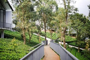 Un sendero bordeado por árboles que conduce a un edificio con balcón.