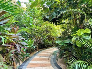 A pathway surrounded by lush greenery and tropical plants. - Relaxing Lakeside Retreat Pool Hot Tub and Patio (Tulum)