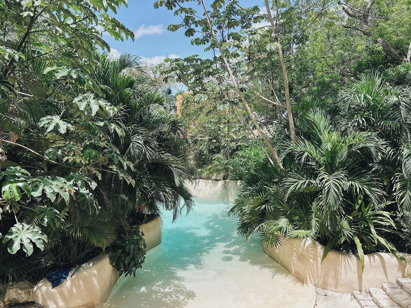 A water feature surrounded by dense tropical foliage.