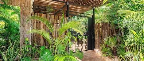 A wooden pathway leading to a gated entrance surrounded by lush tropical plants.