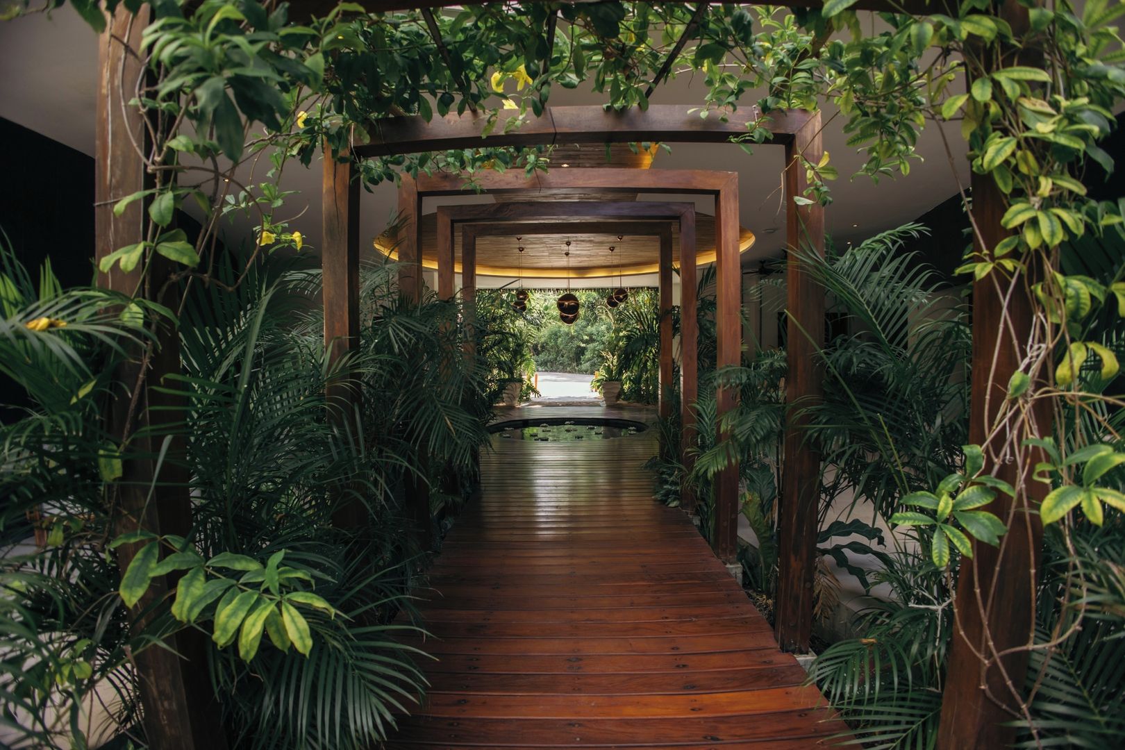A wooden pathway flanked by lush greenery, leading to a well-lit area with hanging lights.