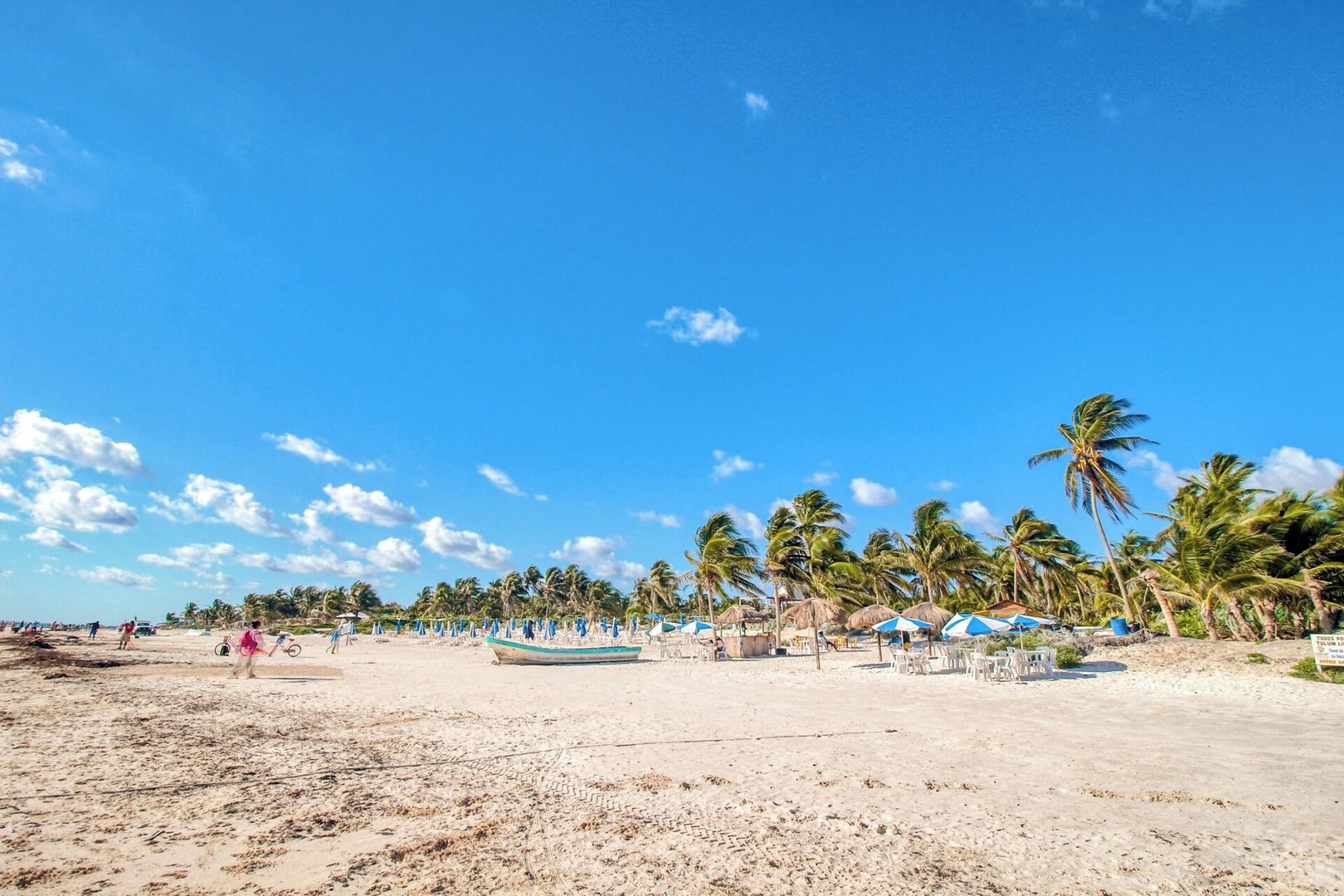 Une plage bordée de palmiers, avec des parasols et quelques personnes.