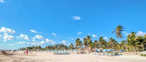 Une plage bordée de palmiers, avec des parasols et quelques personnes.