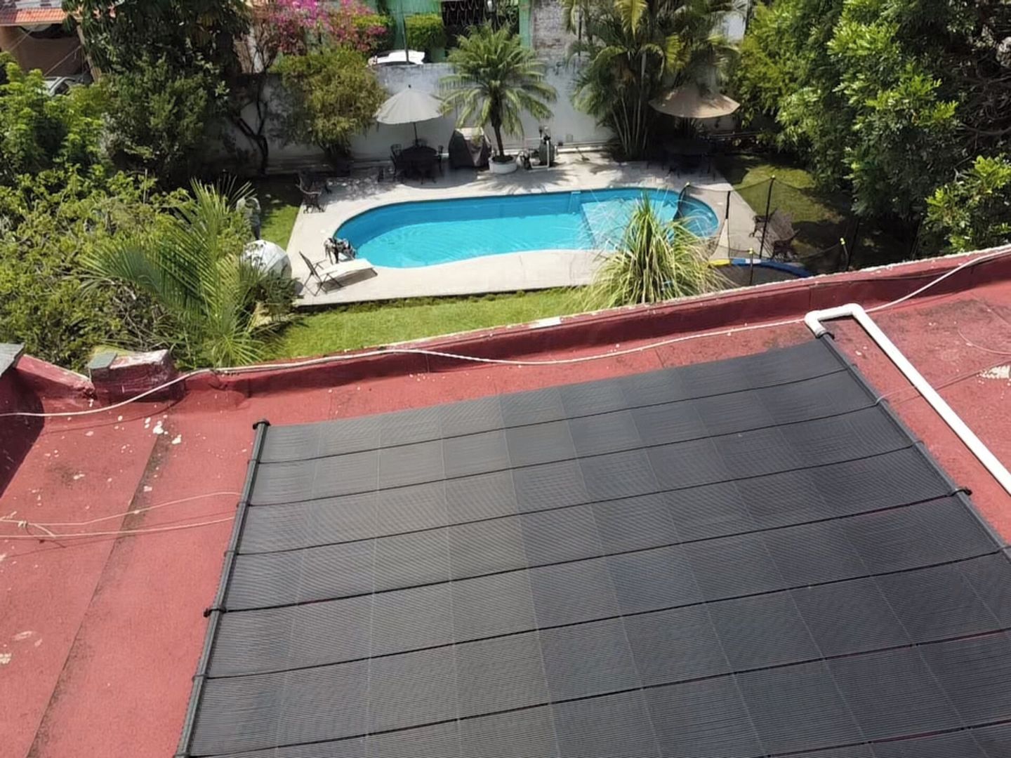 Eine Dachterrasse mit Schwimmbad, umgeben von Grünpflanzen und einem roten Dach.