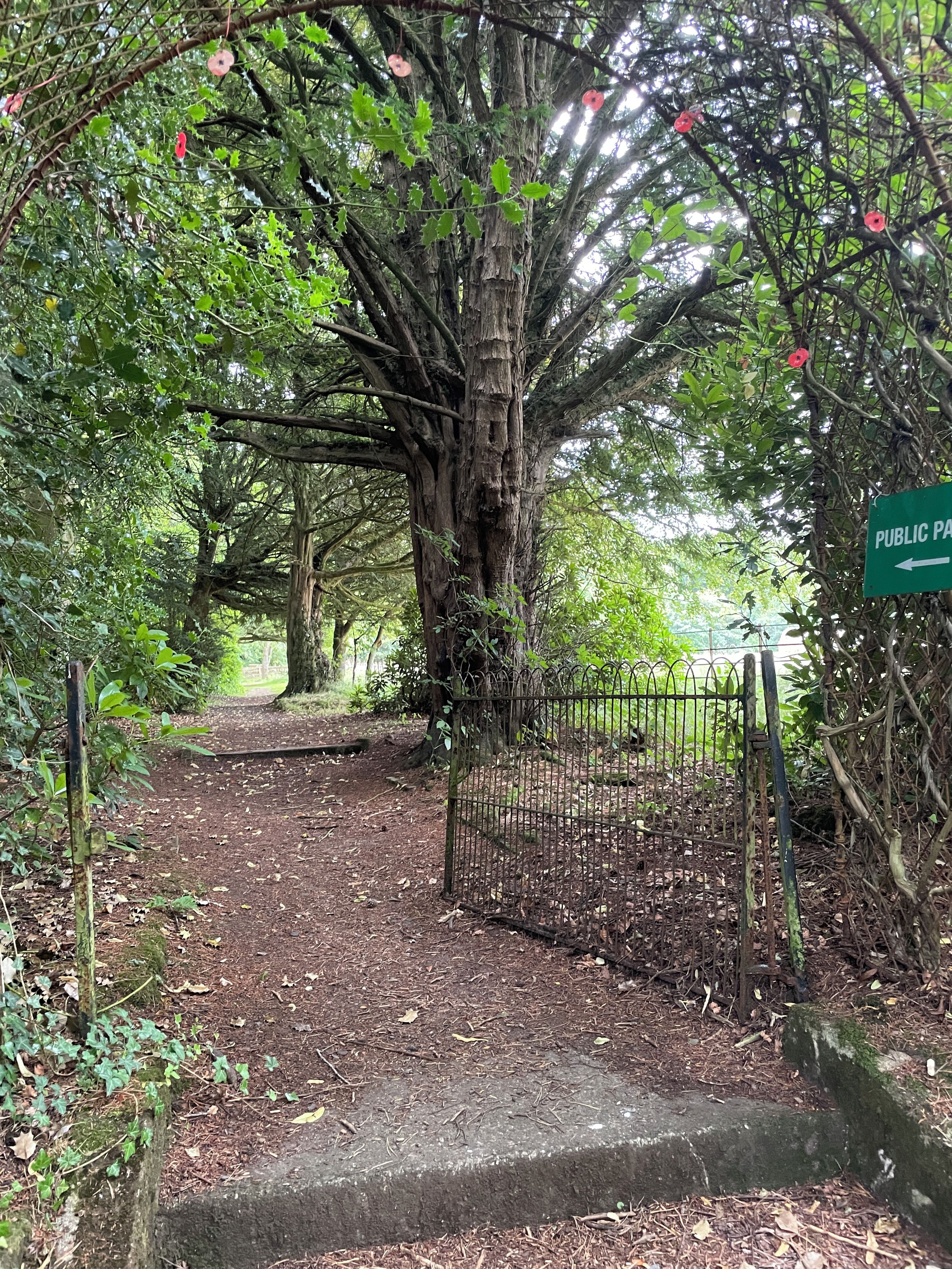 A pathway leading into a wooded area with a metal gate and a directional sign.