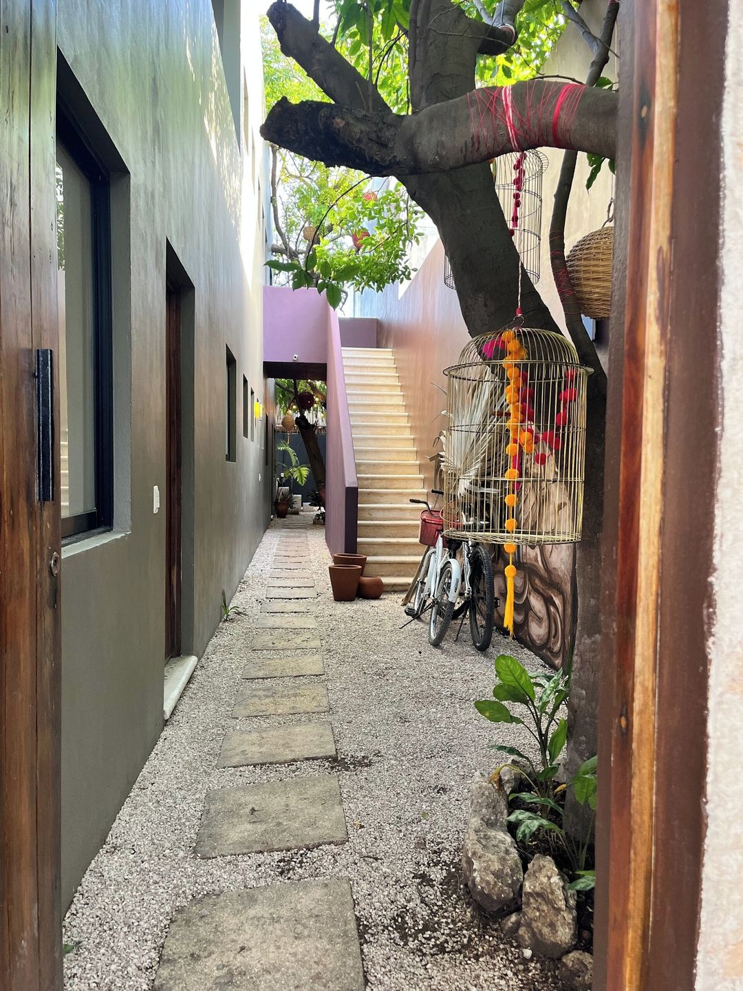 Une ruelle étroite avec un arbre, un vélo et une cage à oiseaux.