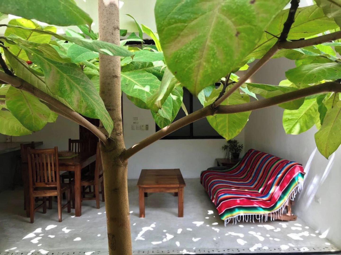 A room with a tree, a wooden table, a sofa, and a chair.