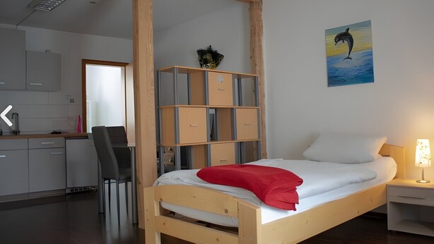 A bedroom with a wooden bed, a red pillow, a nightstand with a lamp, and a painting of a dolphin on the wall. - Neuhausen Holiday Home – Ground Floor Apartment / Wi-Fi / 1 Bedroom (Neuhausen)
