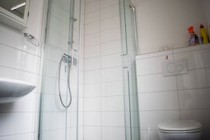 A bathroom with a glass-enclosed shower, a white sink, and a toilet. - Neuhausen Holiday Home – Ground Floor Apartment / Wi-Fi / 1 Bedroom (Neuhausen)