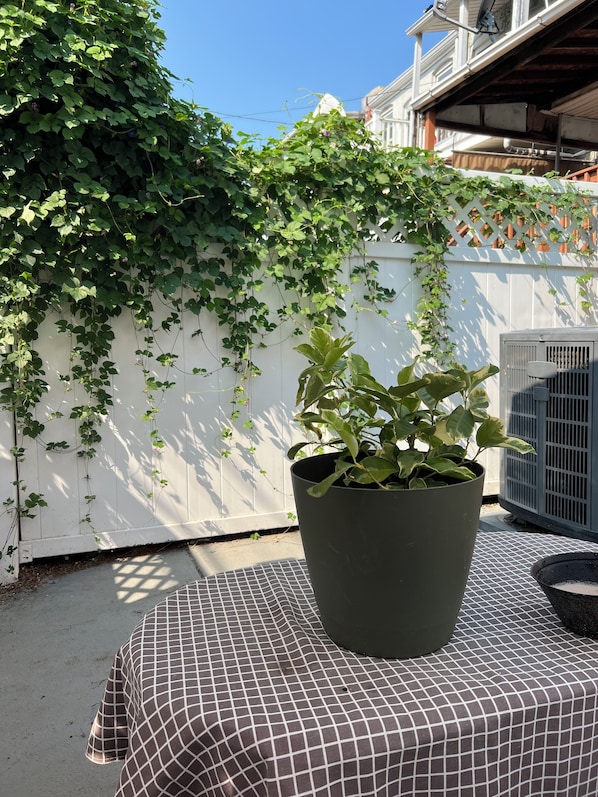 Une plante en pot est posée sur une table à carreaux devant une maison avec une clôture blanche, et on aperçoit un appareil de climatisation à l’arrière-plan.