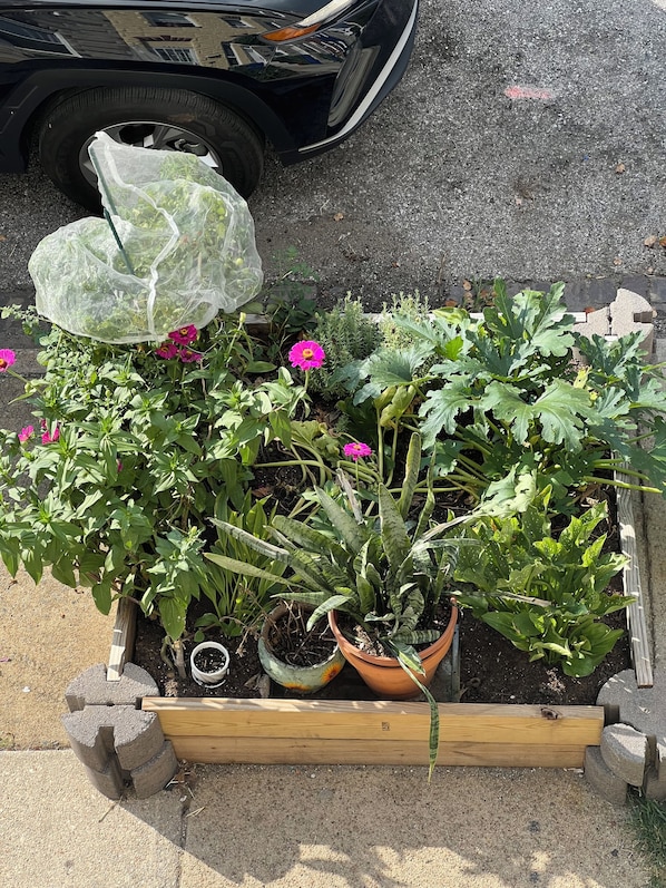 Un parterre fleuri avec différentes plantes et fleurs, bordé de bois, et une voiture garée à proximité.