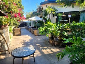 Zona de pati amb seients exteriors, una font i plantes en testos.