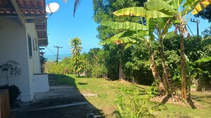 A residential area with a house, satellite dish, and lush vegetation including banana trees.