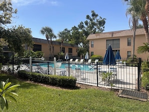 A swimming pool with lounge chairs and umbrellas, surrounded by a fence and greenery. - Tarpon Springs Poolside Retreat - Walk to Famous Sponge Docks & Spring Bayou (Tarpon Springs)