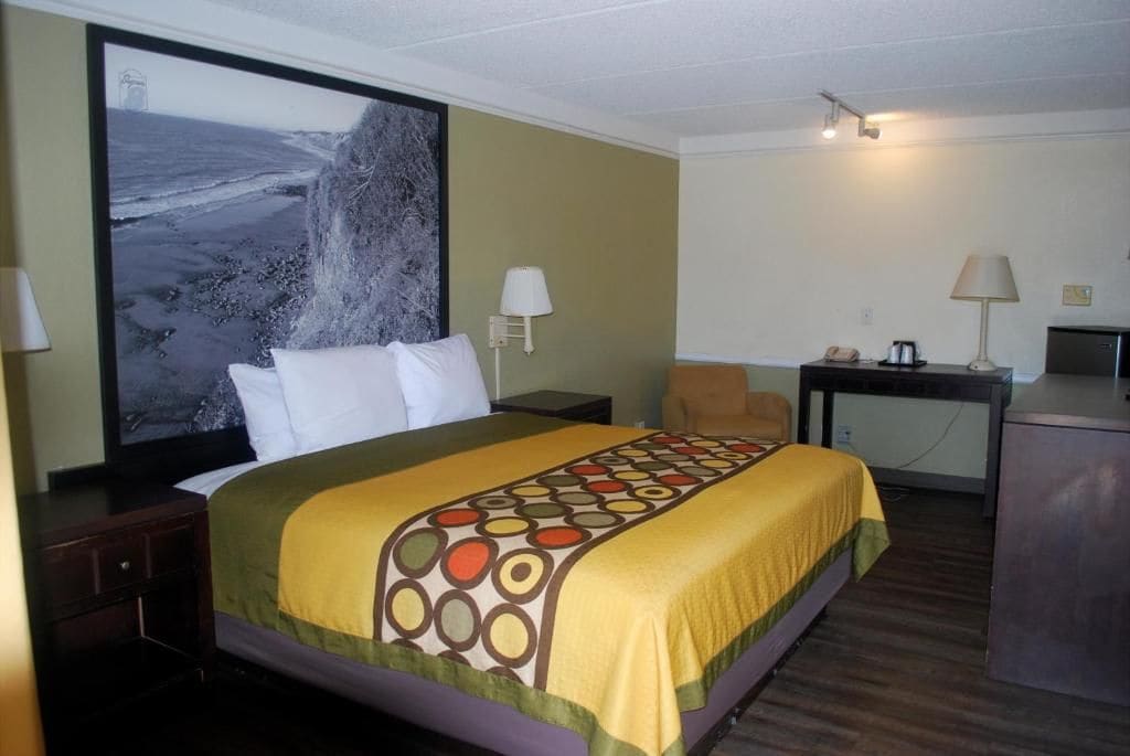 Classic Single Room, 1 King Bed, Non Smoking | Desk, iron/ironing board, WiFi (free)