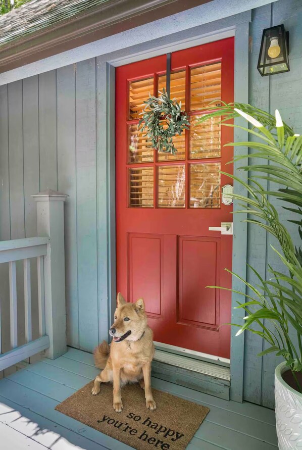A dog sitting on a doormat with a wreath on a red door.
