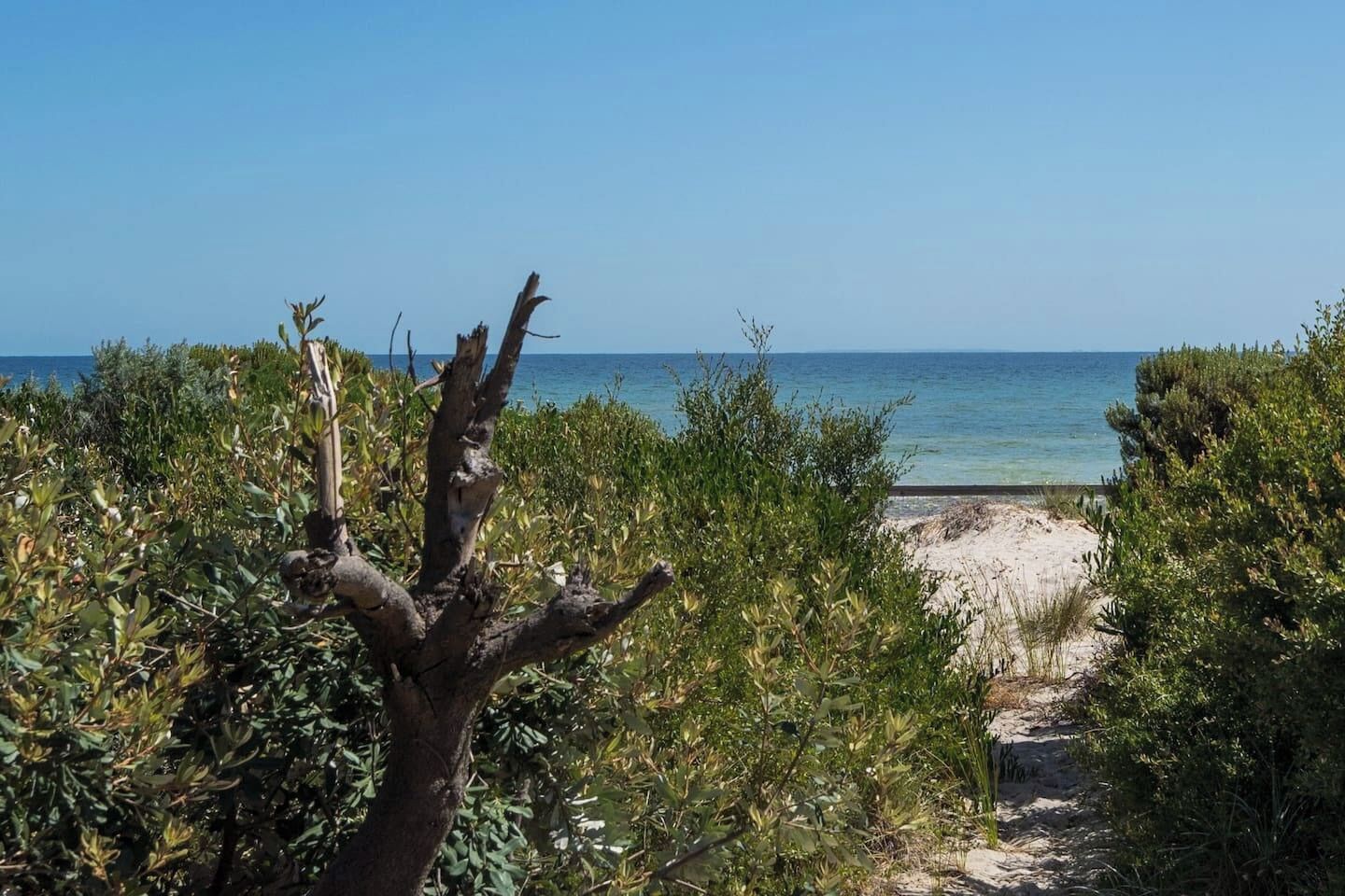 A beach path leading to the sea, surrounded by dense vegetation.