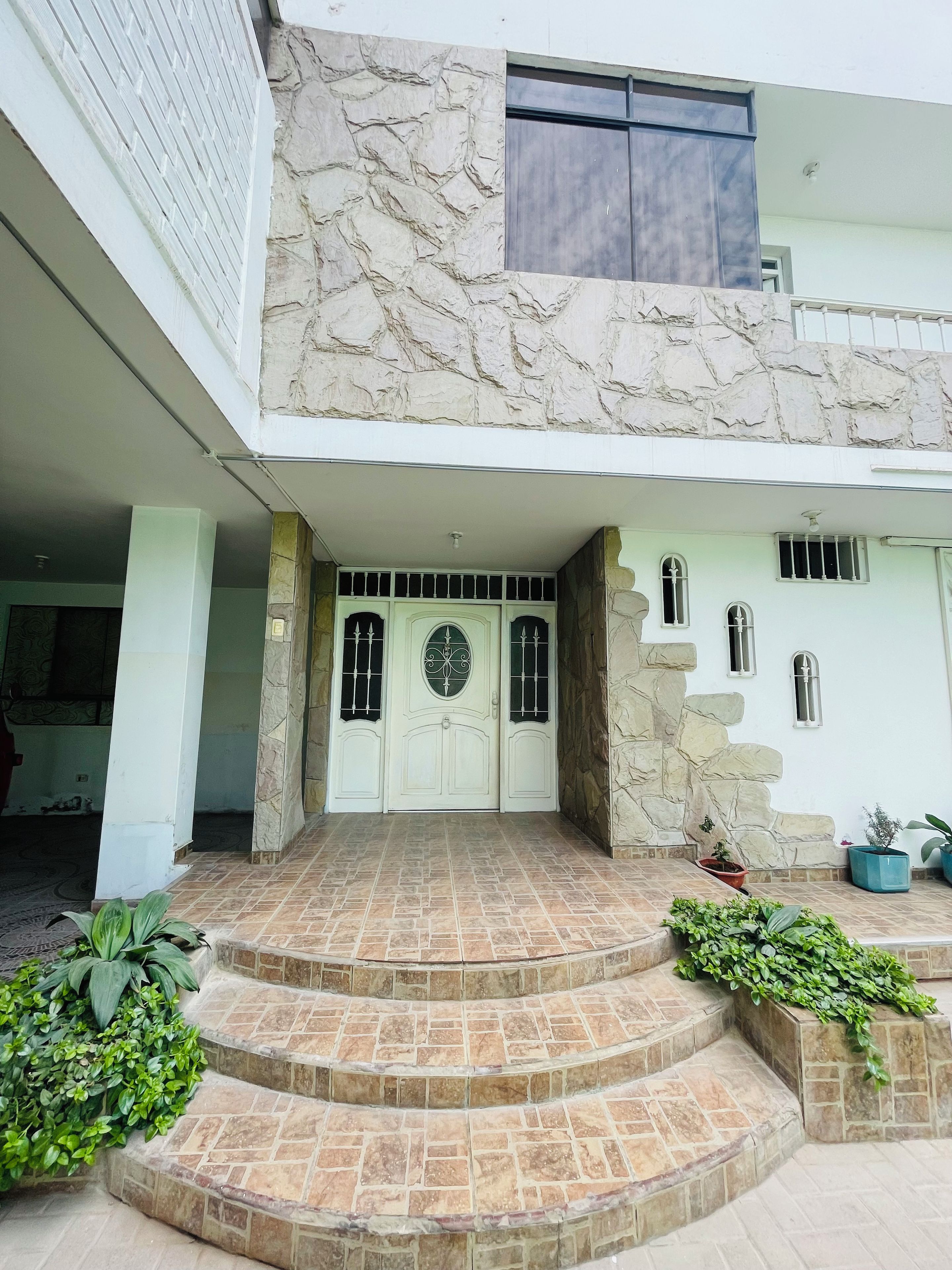 Una entrada de edificio con fachada de piedra, un conjunto de escalones que llevan a la puerta y plantas en macetas.