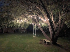 A tree with a swing set and string lights. - Koonya Keeper Family Living by the Coast (Sorrento)