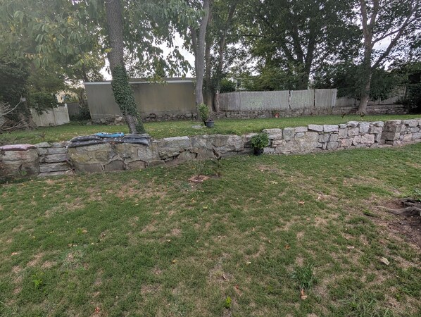 A stone wall, a grassy yard, and a tree.