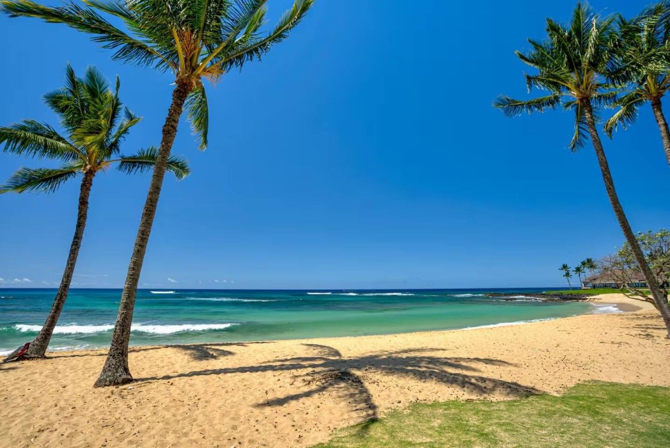 A beach with palm trees and a clear blue sky.