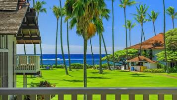 A beachfront property with a well-maintained lawn, palm trees, and a view of the ocean.