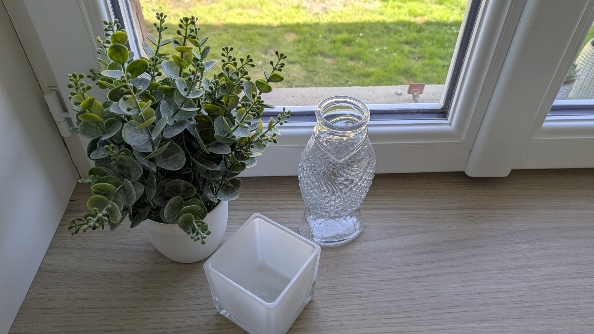 Une plante en pot, un vase en verre transparent et un récipient blanc, le tout posé sur une surface en bois près d’une fenêtre.
